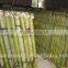 artificial ivy vine leaf split bamboo fence