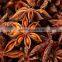 Viet Nam Star Aniseed / Star Anise