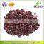 China Origin purple kidney beans long shape