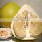 Honey Pomelo Fresh Fruit White meat Promotion Price