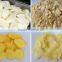 Hot Sale Ginger Garlic Slicer - 200 Kg / H, TT-SLC200 for Ginger Garlic slicer