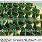 BC serives evaporative cooling pad for poultry and green house