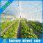 Top Light Transmission Plastic Film for Greenhouse