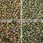 China Manufacturer Multifunctional Bean Sorteing Machine,Belt Type Bean Color Sorter VV