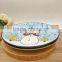 haonai high quality promotion christmas bone china plate