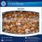 Top Quality Highly Demanded Shell Baigai IQF at Low Market Price