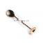 Custom nice gold engraved decorative salt spoon