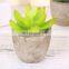 Fake plants simulate succulent bonsai creative flowers simulate potted plants potted trinket