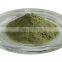 Superior Quality Phyllanthus niruri Powder Sale