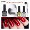 Nail Lacquer Gel Set Nail Polish Gift