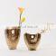 Nordic Modern Luxury Flower Pocerlain Vase Arrangement Golden Ceramic Vase for Home Decor