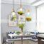 Nordic Creative Garden Plant Chandelier Modern Plant Pot Ceiling Hanging Lamp for Indoor Flower Pot LED Pendant Light
