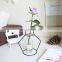 Top Fashion Ins Home Table Decoration Black Metal Frame Vase Wedding In Multi-shaped Metal Vase For Home Decor