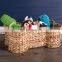 Hot Sale Bone-Shaped Water Hyacinth Storage Basket wholesale High Quality vietnam cheap wholesale
