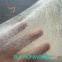 Antibacterial PLA Spunbond Nonwovens Fabric for Personal Hygiene Products