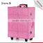 Fashional design pink lighted mirror cosmetic makeup beauty trolley carring case