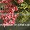 Export orders sitting room table simulation flowers hand bouquet flowers, silk flower decoration Rubber hyacinth specials