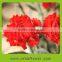  china factory direct 2015 best selling carnation with lily flower