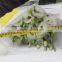 Good smell promotional lisianthus seeds eustoma grandiflorum