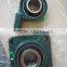 Pillow Plock Bearing UCF214