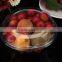 Transparent Plastic Fruit Storage Box Quality Choice