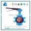 Center-line Type Lug Type Butterfly Valve