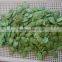 Chinese Green-tea flavor pumpkin seeds for sale