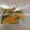 Ready sale Natural VF Dried Pumpkin Crispy
