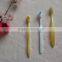 Professional OEM/ODM wholesale toothbrush distributors