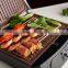 Brushed Stainless Steel Decorative Plancha Panini Grill with removable plates