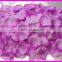 carpet rose petals