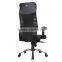 2015 Luxury Ergonomic Mesh Chair