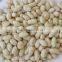 vacuum bag pack peanuts