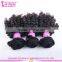 High quality peruvian hair weft tangle free shedding free wholesale pure kinky curly 14 inch peruvian hair