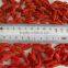 2014 ningxia A grade dried gojiberry