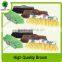 SWEET Factory plastic broom/Angle broom/outdoor and indoor brooms