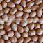 peanut kernels for sale