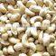 hot selling AFI STAND CASHEW NUT
