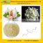 GMP Certified Manufacturer Supply Pure Garlic Extract