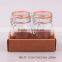 2pcs glass spice jar set in a paper tray