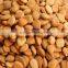 Organic Apricot kernel