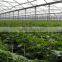 90%min water soluble fertilizer humic fulvic acids