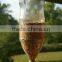 Garden Wild repurpose plastic hanging bottle Top Bird Feeder