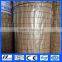 Galvanized Welded Iron Wire Mesh