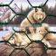 Hexagonal Wire mesh Netting