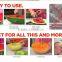 New Stlye Stainless Steel 304 Watermelon Slicer