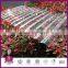 Extruded Polycarbonate Sheet/ Corrugated PC Sheet/ Cheap Polycarbonate Sheet