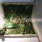 artificial plain style green plant wall for landscaping design from Dongguan ESTE LGH15-07