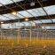 Good quality multi span polycarbonate flower greenhouse with shading system and growing lighting system