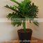 UK-Gardens Artificial Philodendron Xanadu Green Fern Office or House Indoor Plant In A Pot